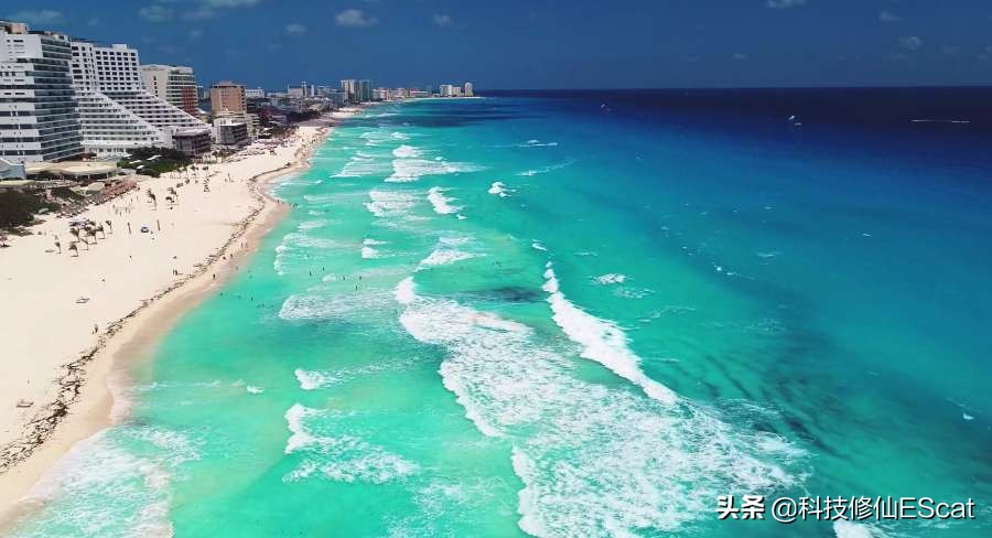 神秘海洋里边的海草怎么修复,神秘海草