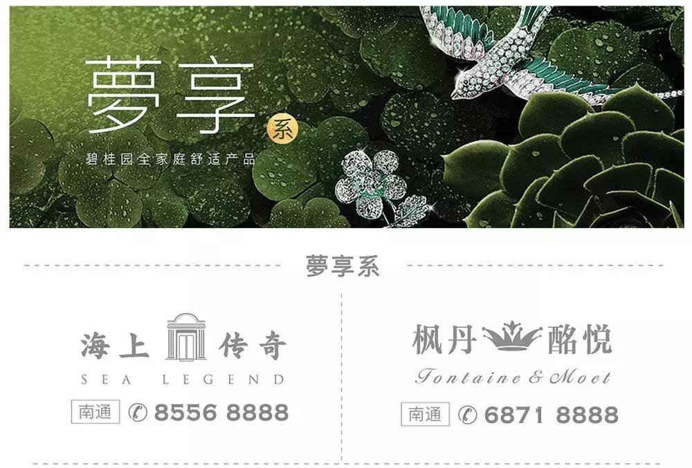 大赞！大型国际组织到访苏通！园区跃升跨国合作“新地标”...