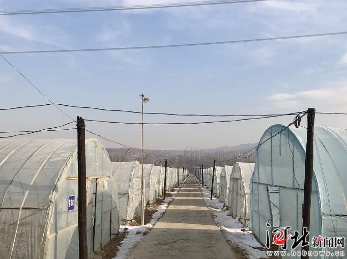 河北脱贫攻坚,图文直播张家口一中