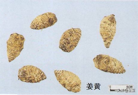 中药材伪品太多，俗有南国神草之称的三七，就有十多种假货