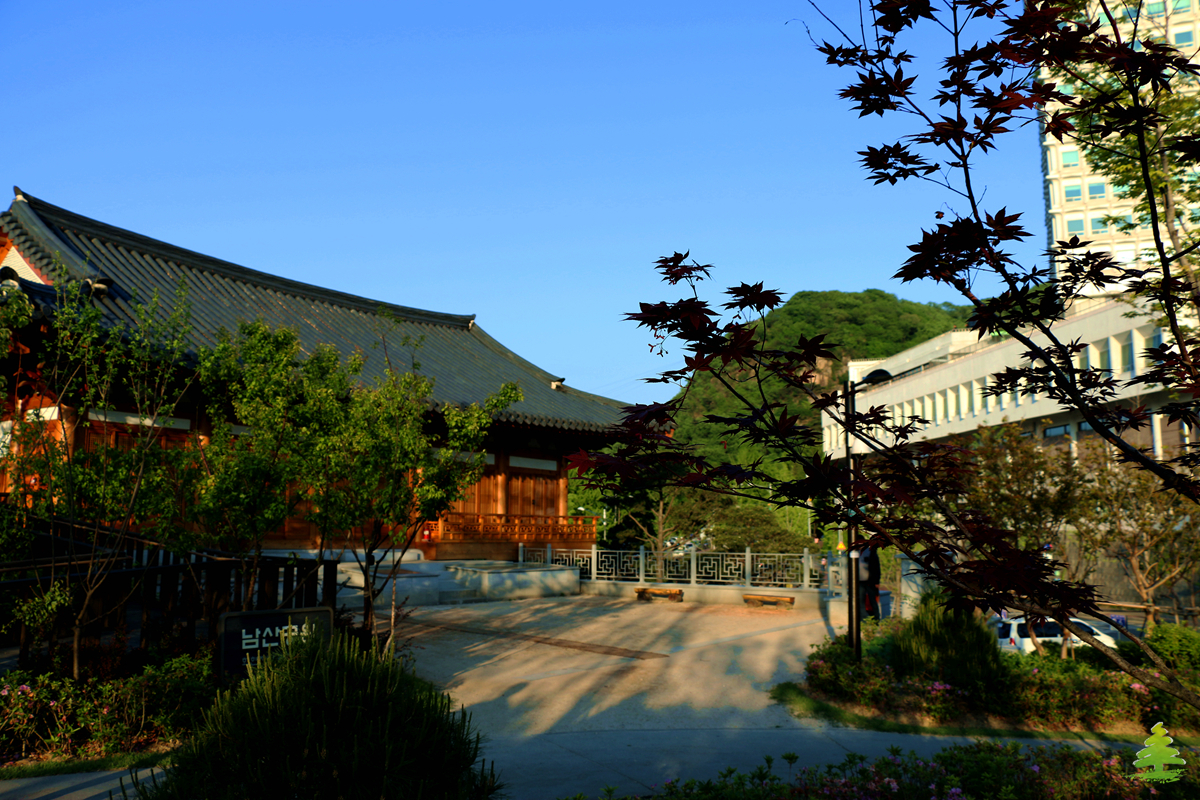 韩国首尔城市现状视频,首尔目前情况