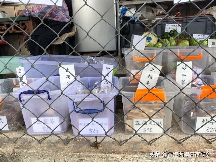 港台海外客家系列之七：客家山地百草园