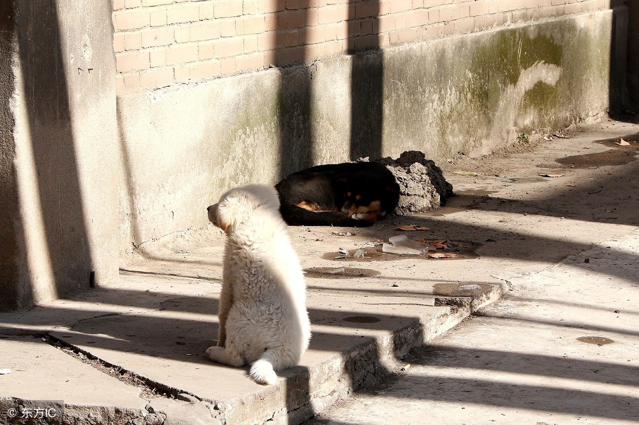 过去遇到的人和事都值得反思,应该如何看待过去的事