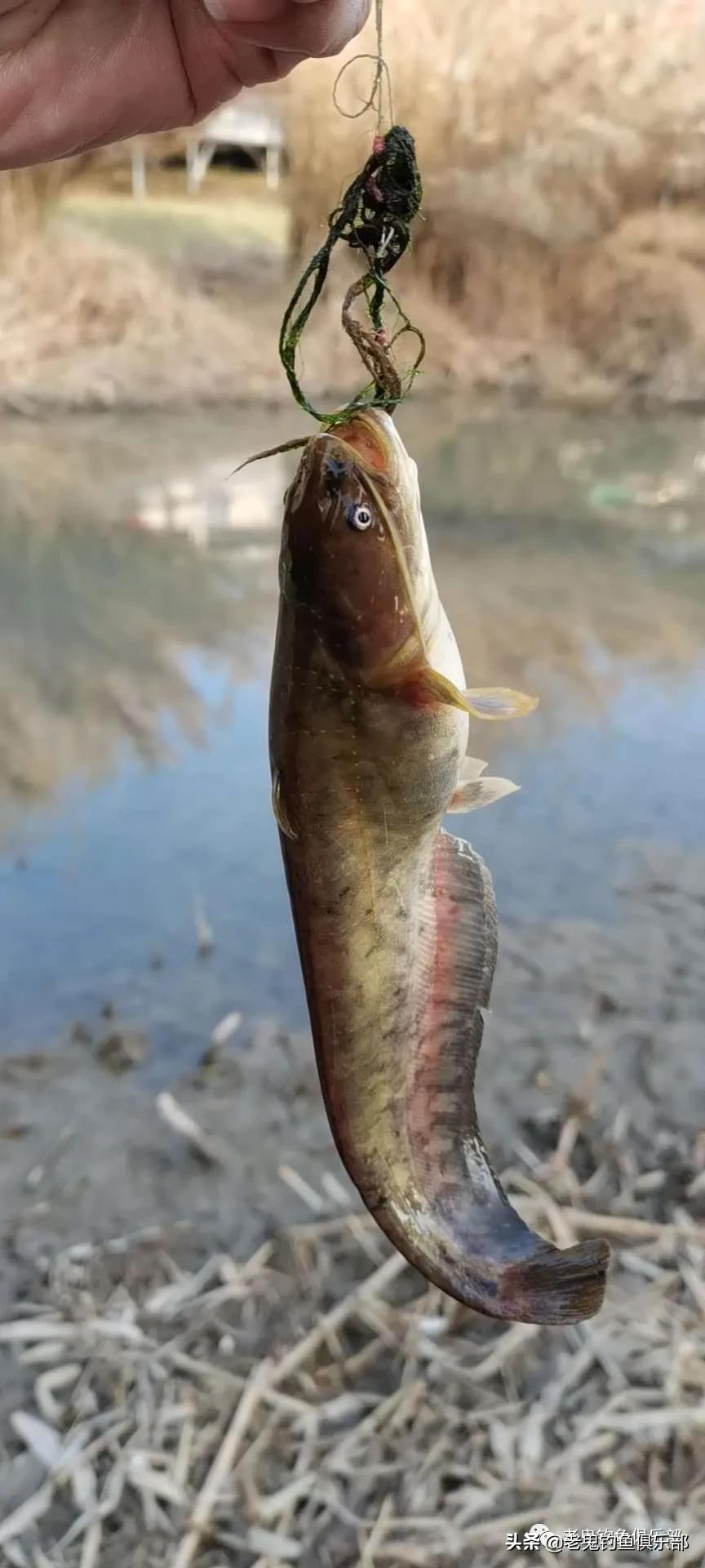 济南天气多变,济南天气变化