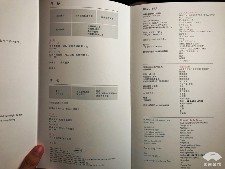 日本航空超级经济舱和经济舱 (日本五星航空公务舱)