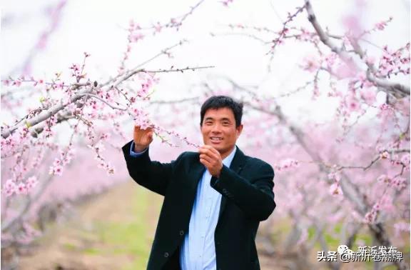 甜蜜产业助推乡村振兴,甜蜜产业让群众日子越过越甜