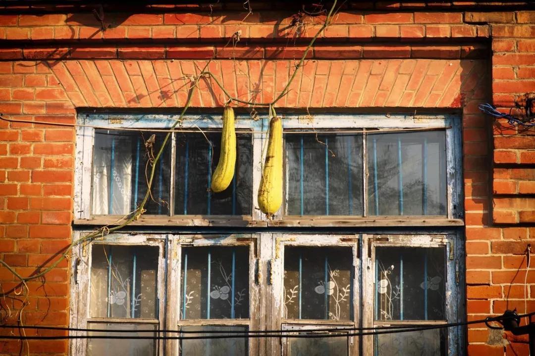 美过三亚！比厦门浪漫！中国这座海滨老城，去一次相当环游世界！