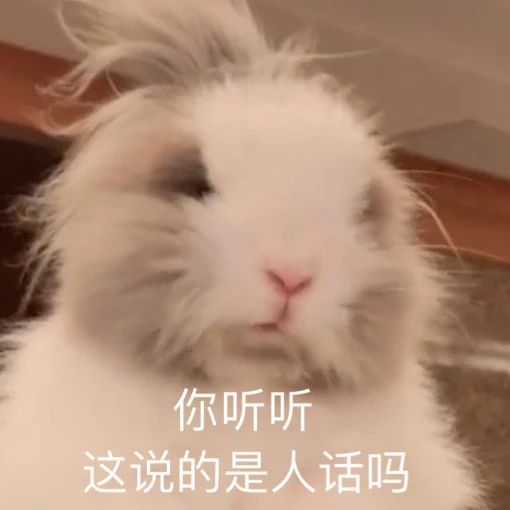 聊天表情包图片大全微信自取,谢谢感谢的表情包可爱动图