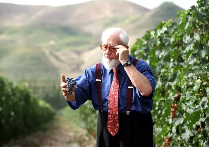 在*疆新**，谁才是“果界一哥”？