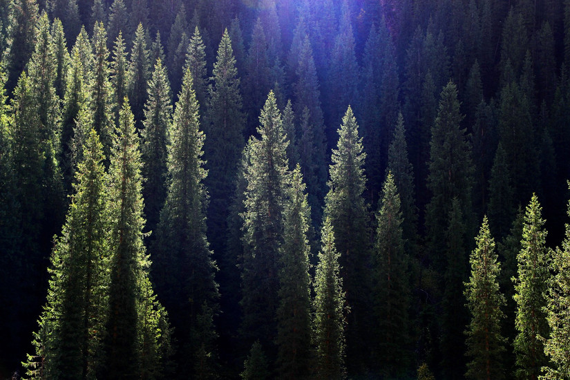 走在通往天堂的路上,走在离天堂很近的地方