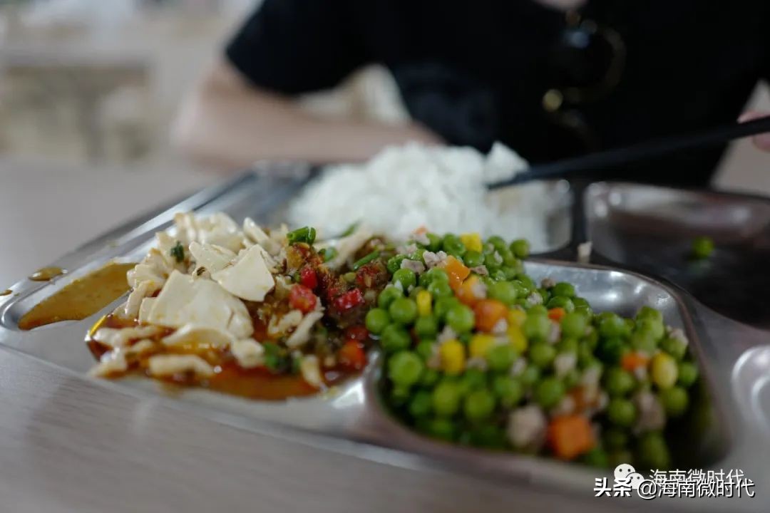 海南大学的回忆,海南大学青春的样子