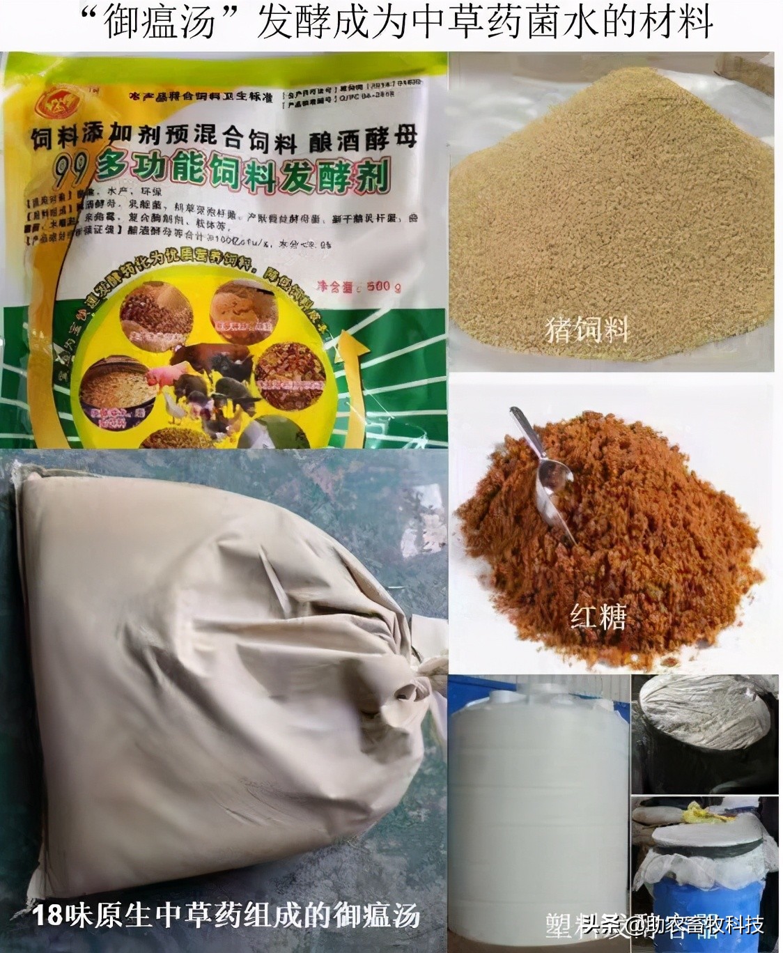 外购仔猪回来怎么处理,外购仔猪有什么风险