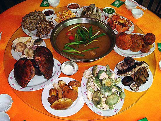 2020重庆马拉松比赛现场直播,重庆千野草场音乐节