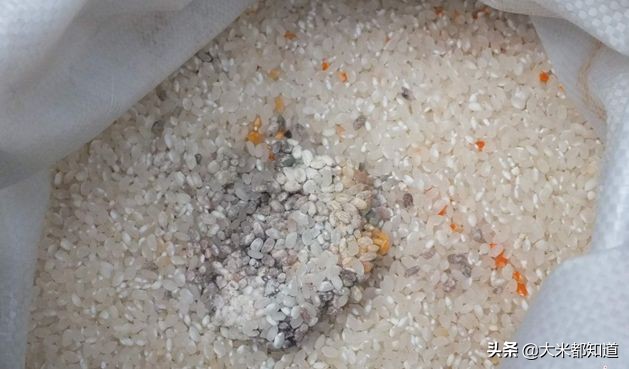 大米变质如何处理,大米霉变怎么修复