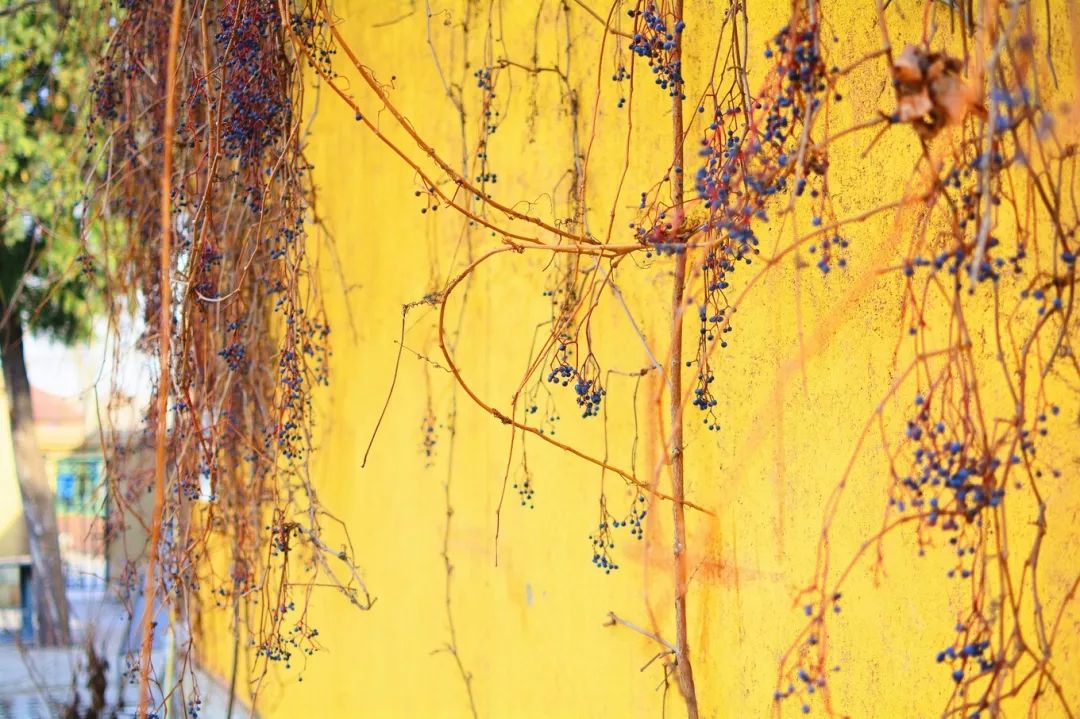 童话小镇在哪里,山东梦幻童话小镇在哪里