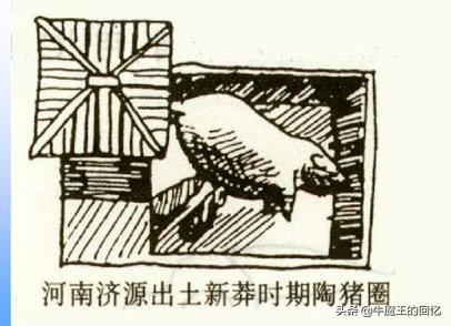 猪年的习俗有哪些,猪年是什么