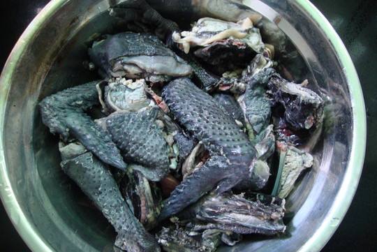 老火靓汤老鸭花旗参汤,花旗参药膳乌鸡老火靓汤