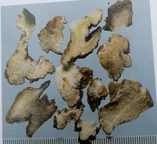 收敛止血的中成药有哪些,止血收敛的药有哪些