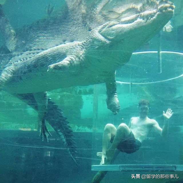 澳大利亚有哪些旅游胜地,澳大利亚有什么好玩的免费景点