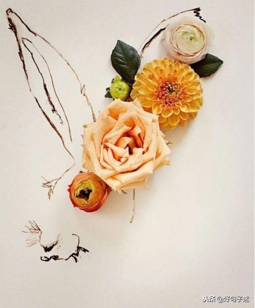 简短签名有深意有内涵,经典签名一句话哲理