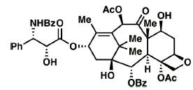 紫杉醇的半合成化学实验视频讲解,紫杉醇液相色谱法