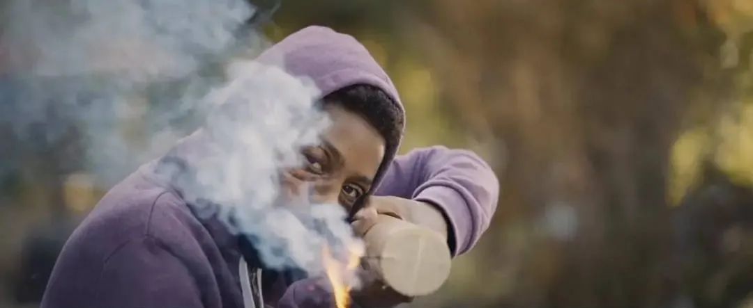 法国种族问题,法国种族问题的现状