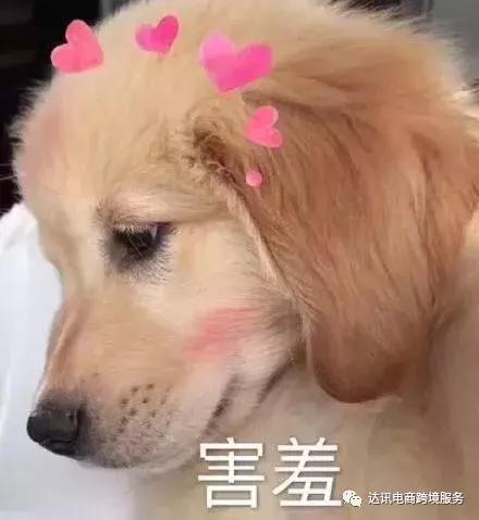 亚马逊排名提升方法,亚马逊产品如何提升自然搜索排名