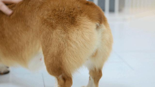 专门摸屁股的店，任摸