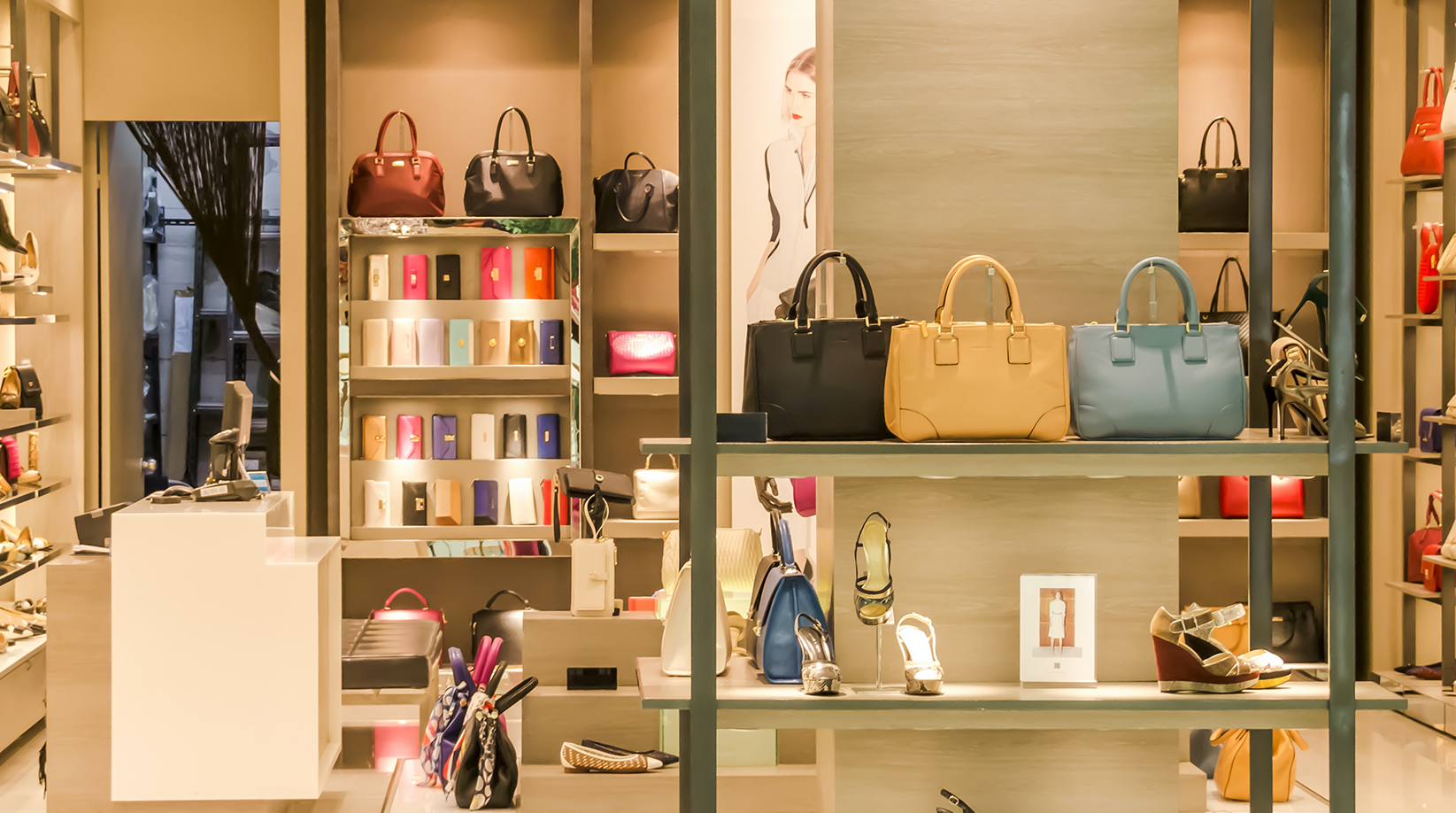 宠物店如何破局,宠物店怎么转型