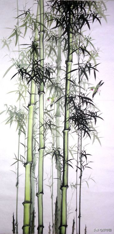 历代咏竹诗句大全集,十首咏竹最好的诗词