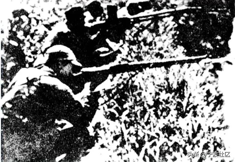 三五九旅斗争史,三五支队电视剧