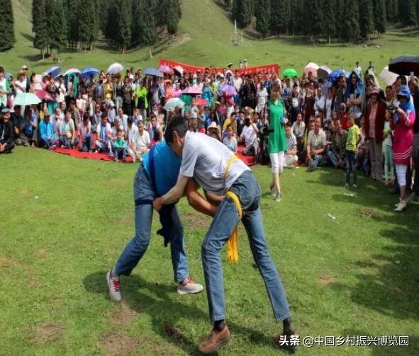 乡村振兴产业方面存在的问题,乡村振兴最有前景九大产业