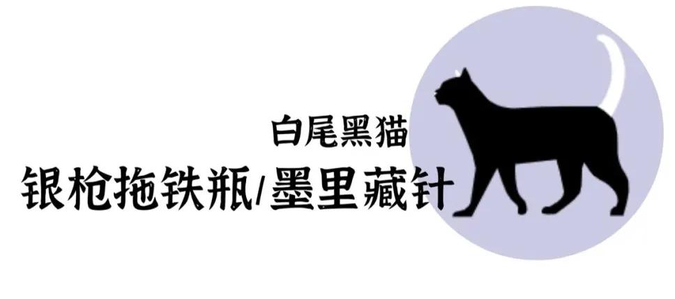 古代猫名字,古代猫的名字