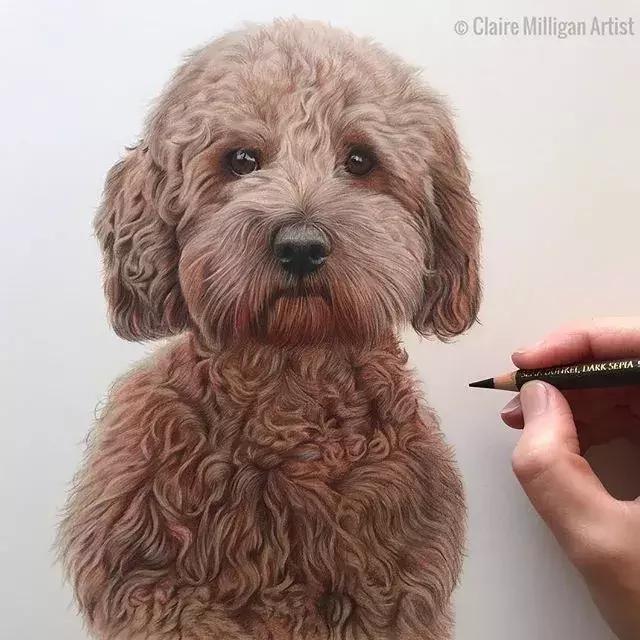 彩铅如何画得非常细腻,彩铅画的很好看零基础