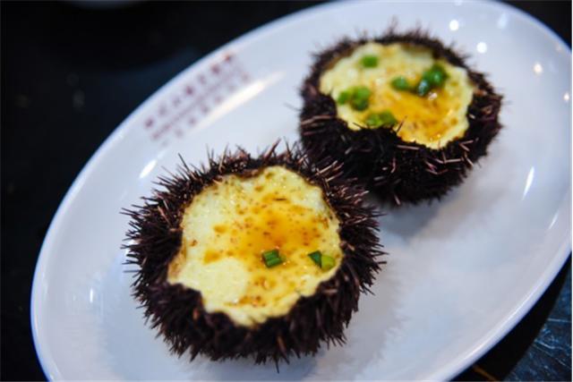 一月鄂尔多斯,带娃鄂尔多斯旅游攻略