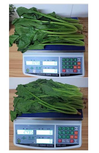 三星多门冰箱优缺点,三星四门炫彩冰箱使用感受