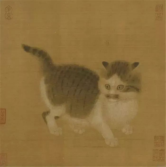 你养的猫在古代都叫什么名字,想知道你家猫在古代是什么样子吗