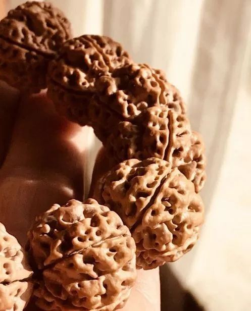 金刚贵贱区别,金刚菩提多久能红