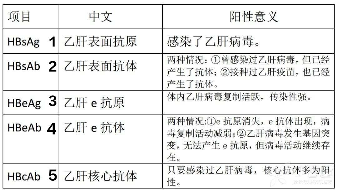 乙肝两对半小三阳是什么意思,如何看懂乙肝两对半结果对照表