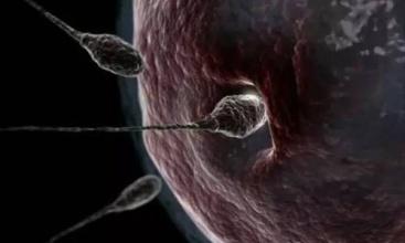 看完这场九死一生的旅行，才知道那个精子太难了