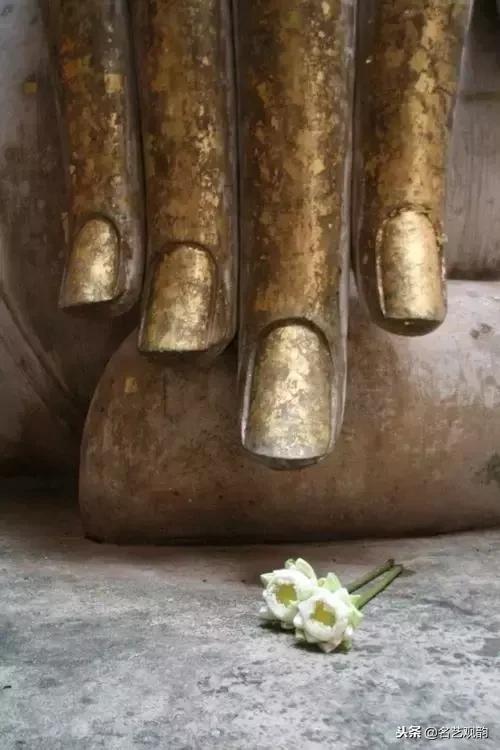 欣赏世间之美,欣赏之美