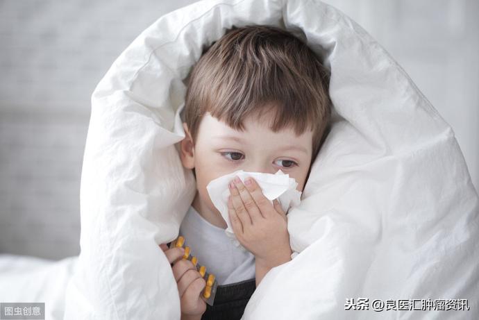 化疗期间怎么吃才能尽快康复,化疗后怎么吃人参