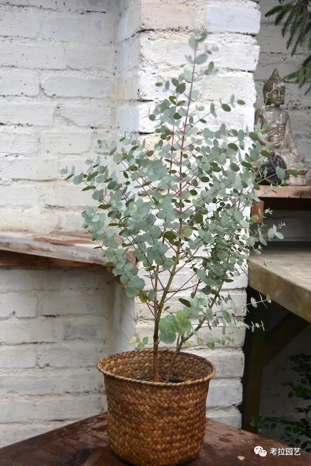 大地的恩赐图片,大地的馈赠是大天域吗