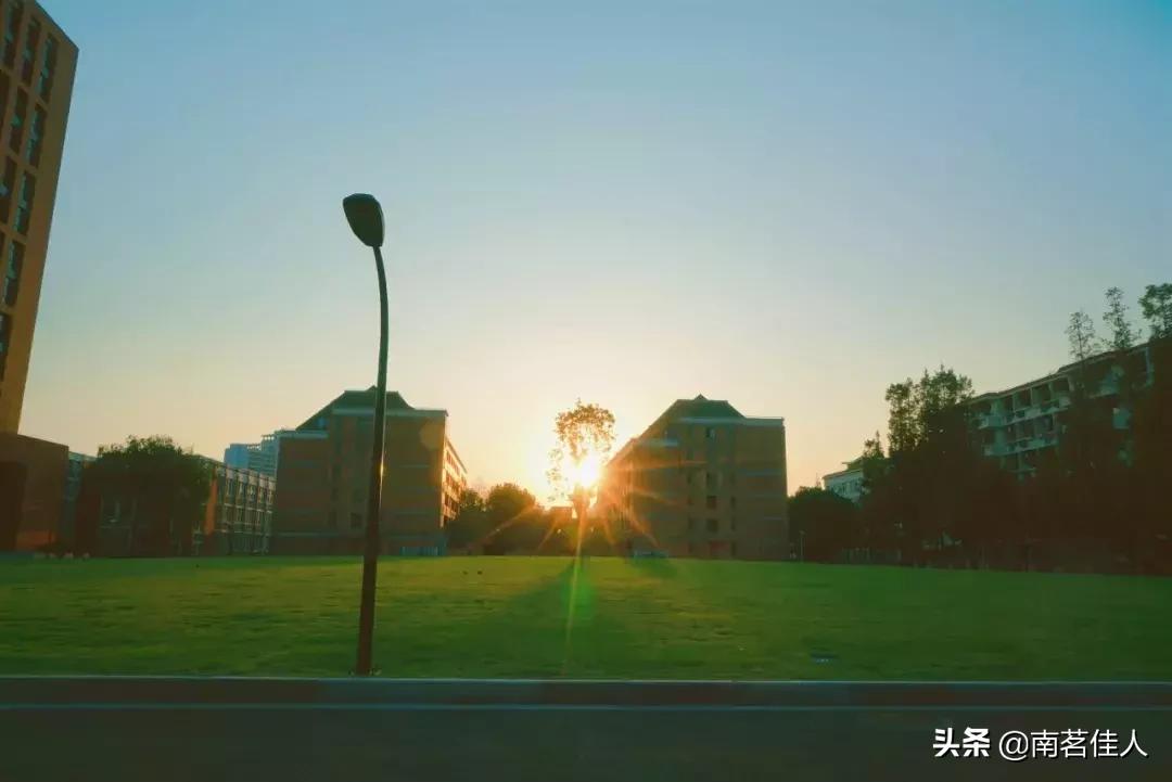 碎玉坠琼芳，流年忆甜柔