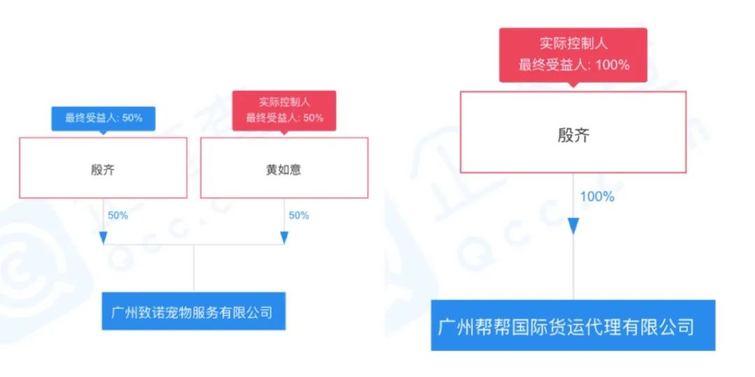 宠物托运惊恐,被托运的宠物