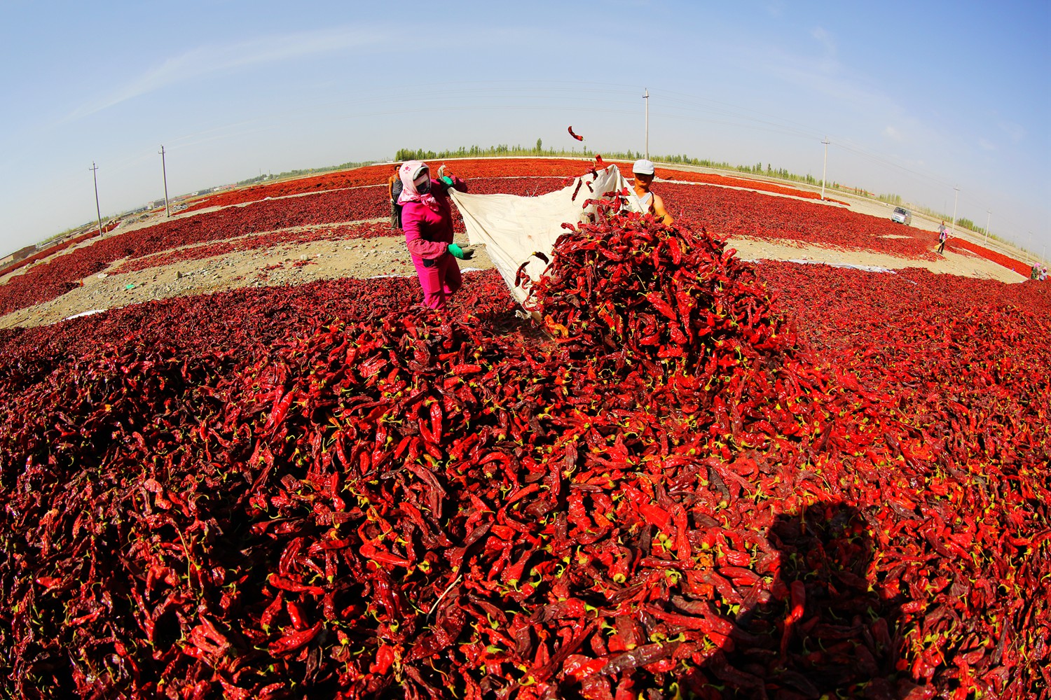 丰收快乐节,农民丰收节唱出丰收喜悦