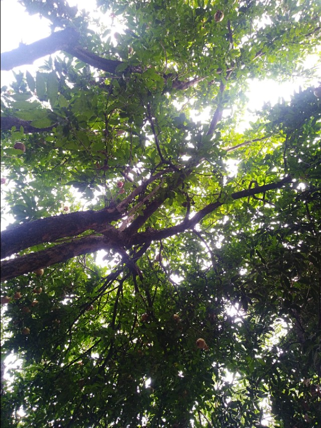 王玉：南阳益博社工的初秋一日行纪