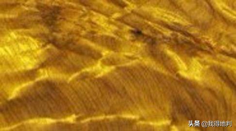 金丝楠纹理鉴赏,金丝楠阴沉木极品纹理集合