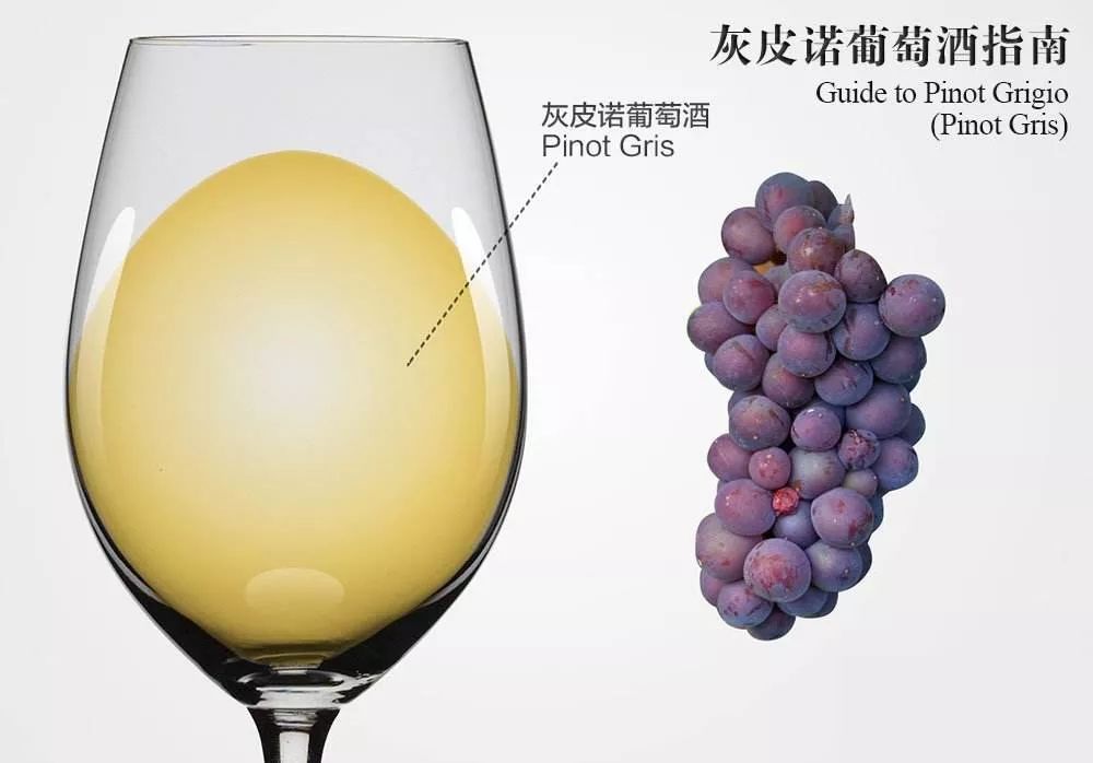 阿根廷阿泰斯马尔贝克红酒,阿根廷的葡萄酒怎么样