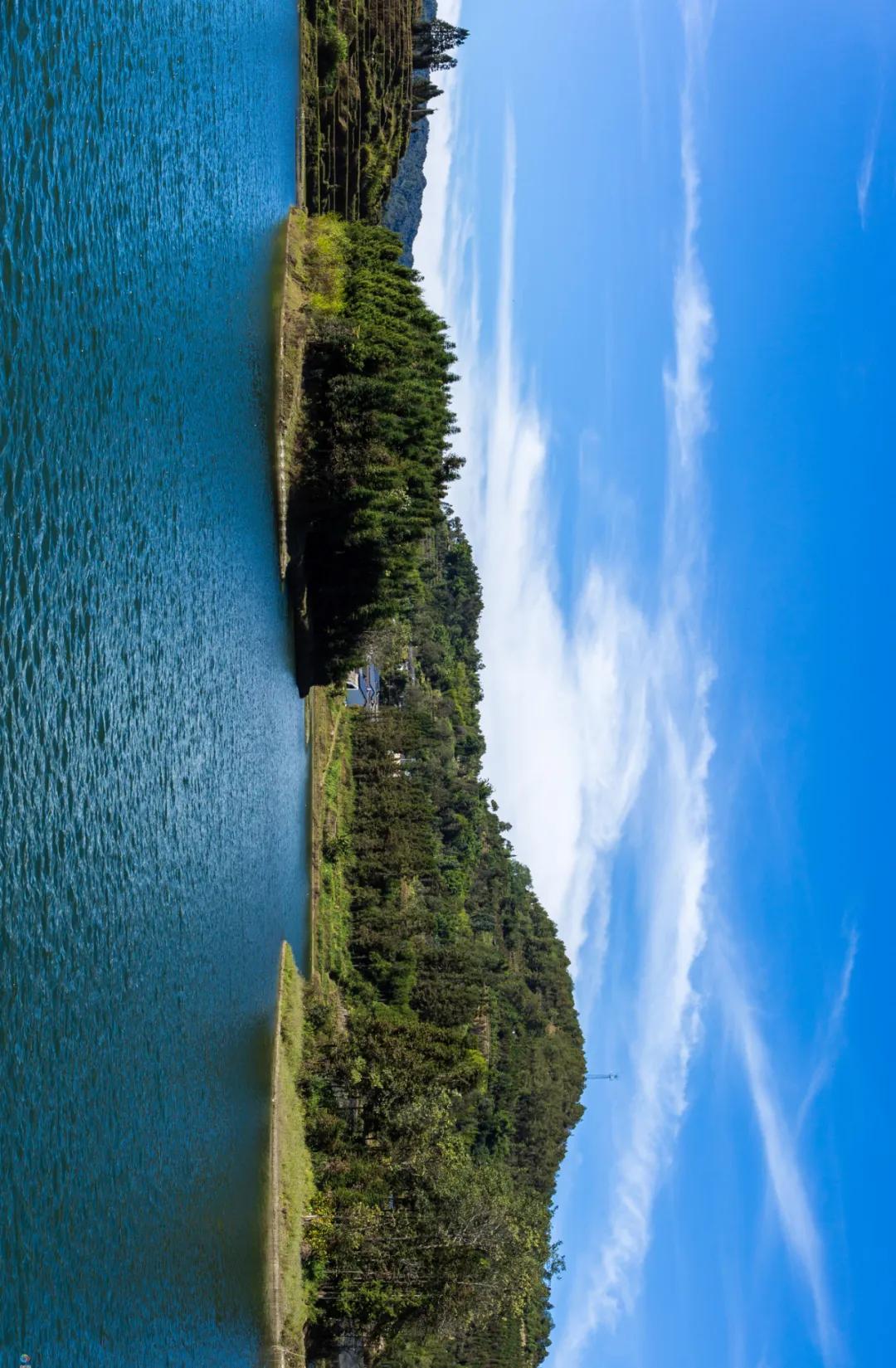 这是一个充满生机的公园怎么说,这是一个充满生机的国度朗诵